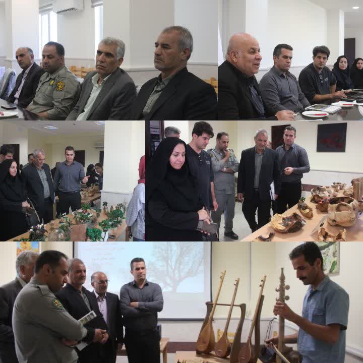 پیوند محیط زیست و زیست‌بوم نوآوری؛ بازدید سرپرست محیط زیست ایلام از خانه خلاق آسو