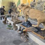 ضبط ادوات غیرمجاز شکار و صید توسط یگان حفاظت محیط‌زیست