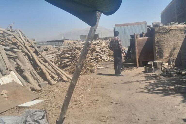 تشدید نظارت زیست‌محیطی بر کارگاه‌های غیرمجاز زغال‌پزی در لنجان