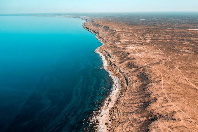بررسی بحران تراز آب و تنوع زیستی دریای خزر در اجلاس کاپ ۷