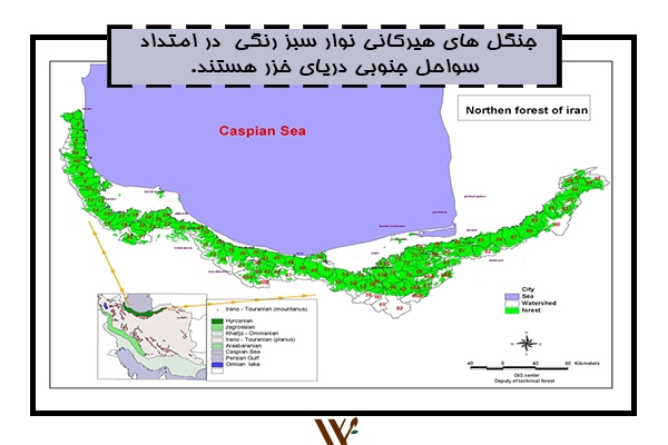 ثبت جهانی هیرکانی در النگدره +تصاویر هیرکانی