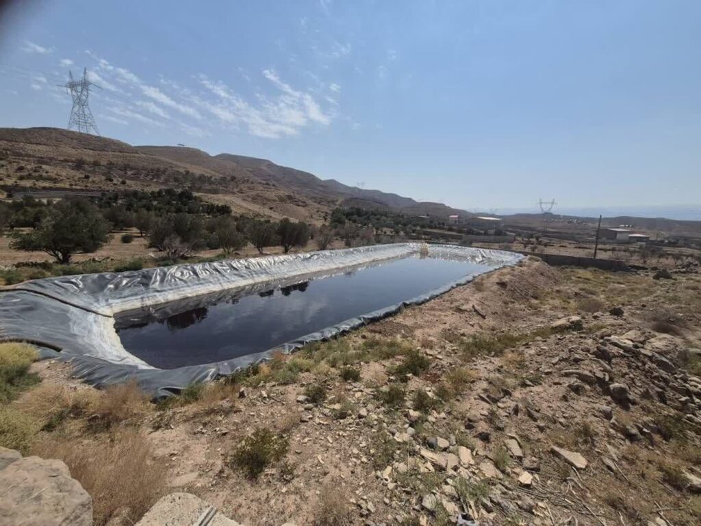 اخطار دادستان به زیتون‌کاران