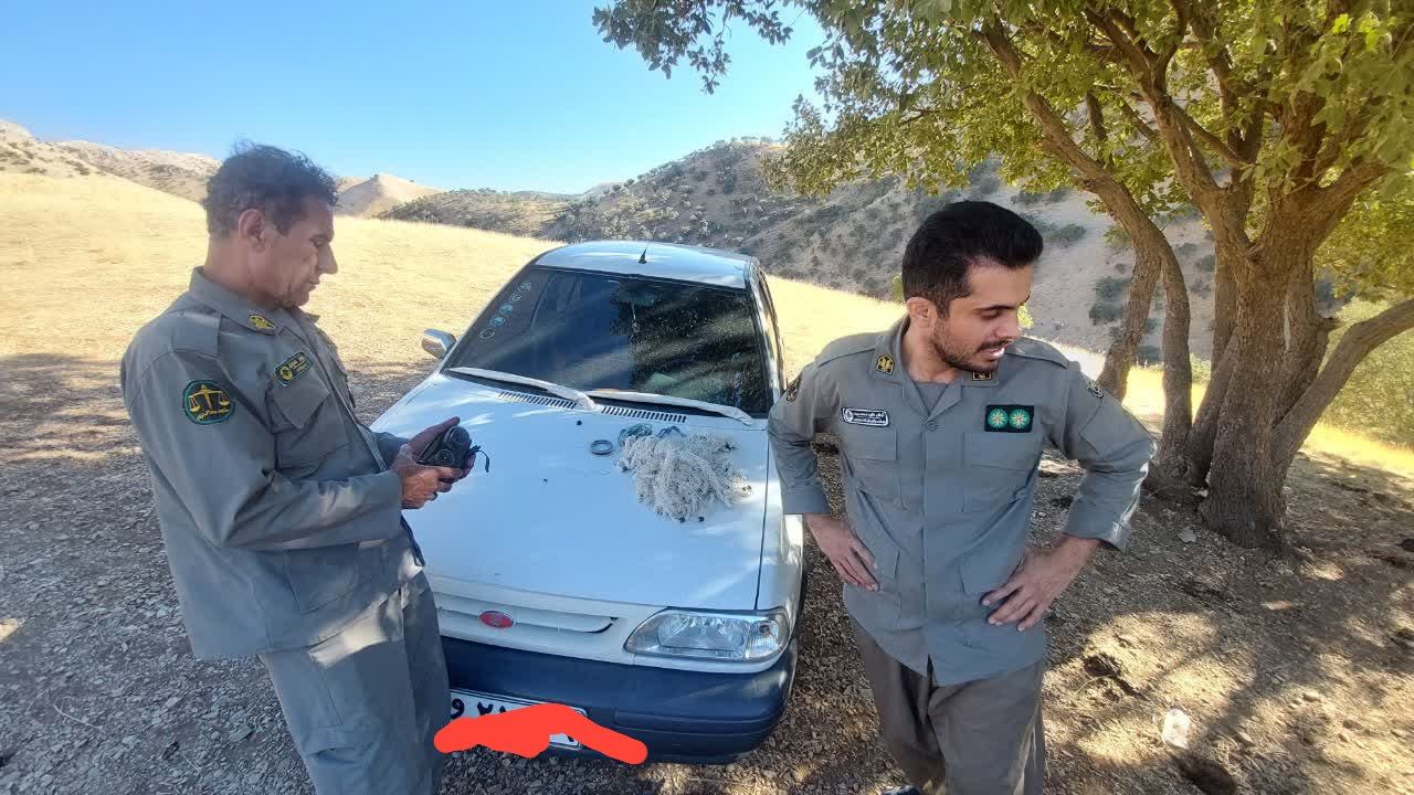 دستگیری شکارچیان غیرمجاز و کشف سلاح در ثلاث باباجانی
