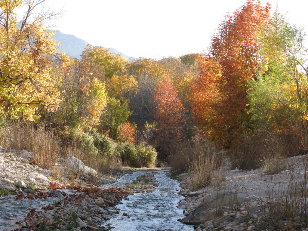 روستای گردشگری خبر بافت