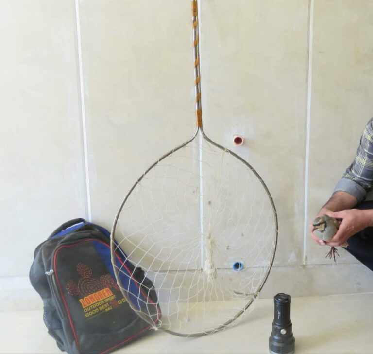 دستگیری گروه شکارچیان غیرمجاز کبک در ارتفاعات گرمه