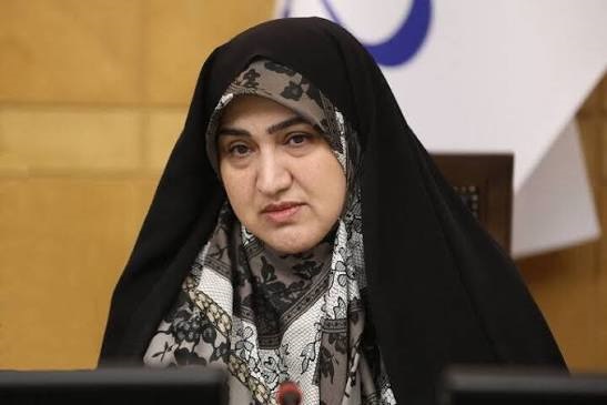 رفیعی در اجلاس کاپ ۷: افت تراز آب خزر نیازمند بررسی منابع ورودی بالادست است