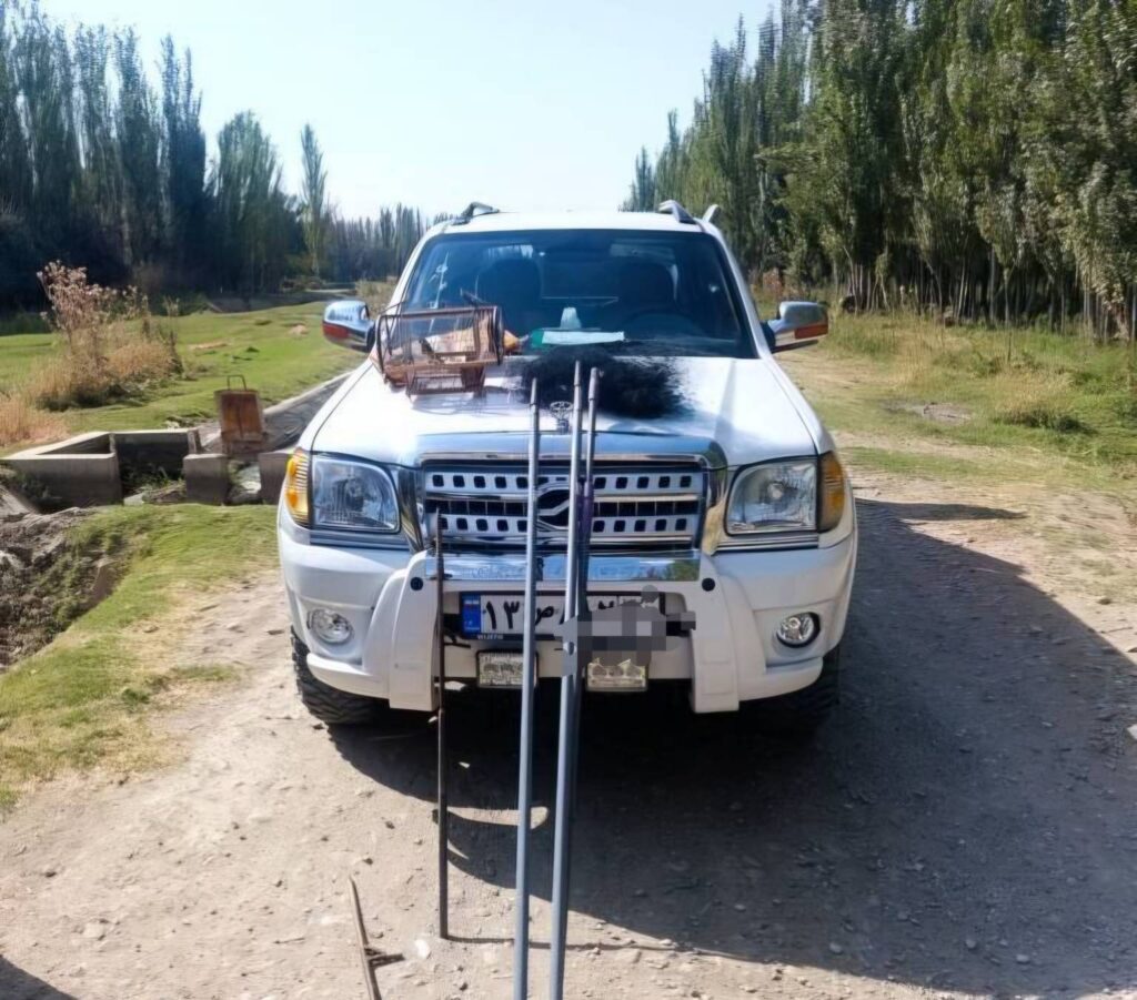 رهاسازی پرندگان در طبیعت