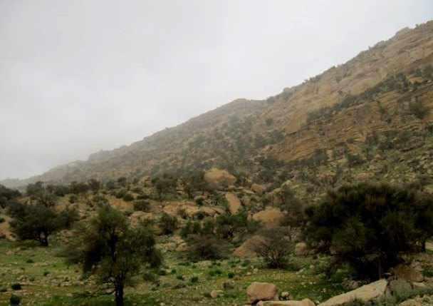منطقه شکار ممنوع کوه سیاه