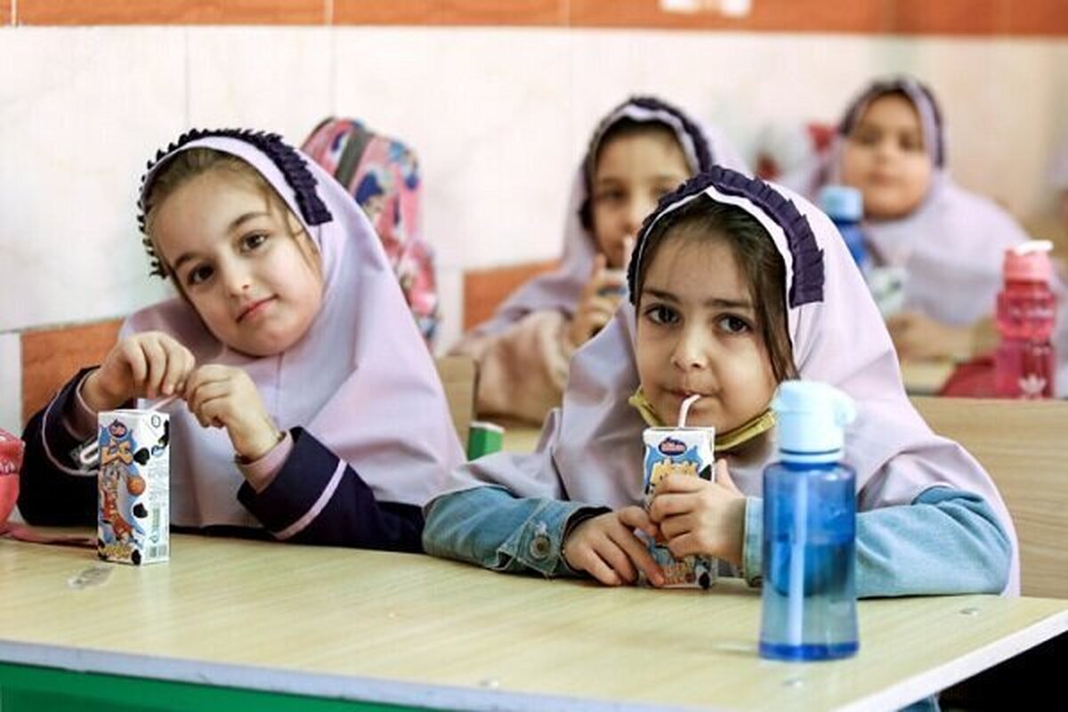 نان غنی‌شده جایگزین احتمالی شیر مدارس