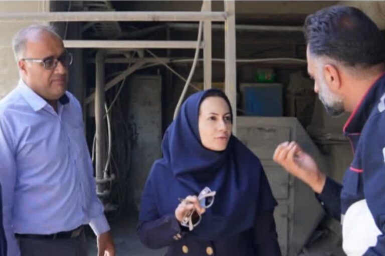 عملیات بازرسی و پایش زیست‌محیطی صنایع در شهرستان فلاورجان