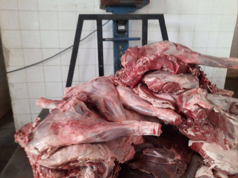 کشف لاشه دو رأس گراز وحشی در خودروی متخلف در دیواندره