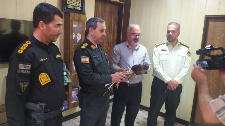 کشف و نجات دو پرنده شکاری کمیاب در دیواندره