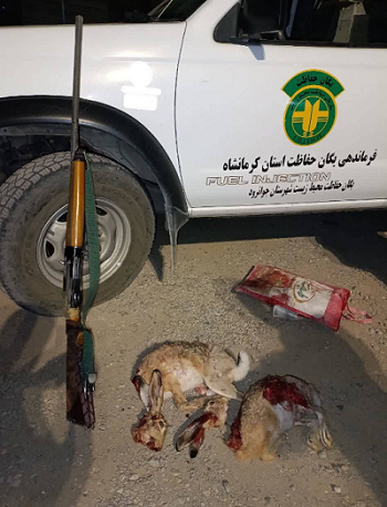 عملیات مشترک محیط‌بانی جوانرود و روانسر؛ کشف ادوات شکار و لاشه حیات‌وحش