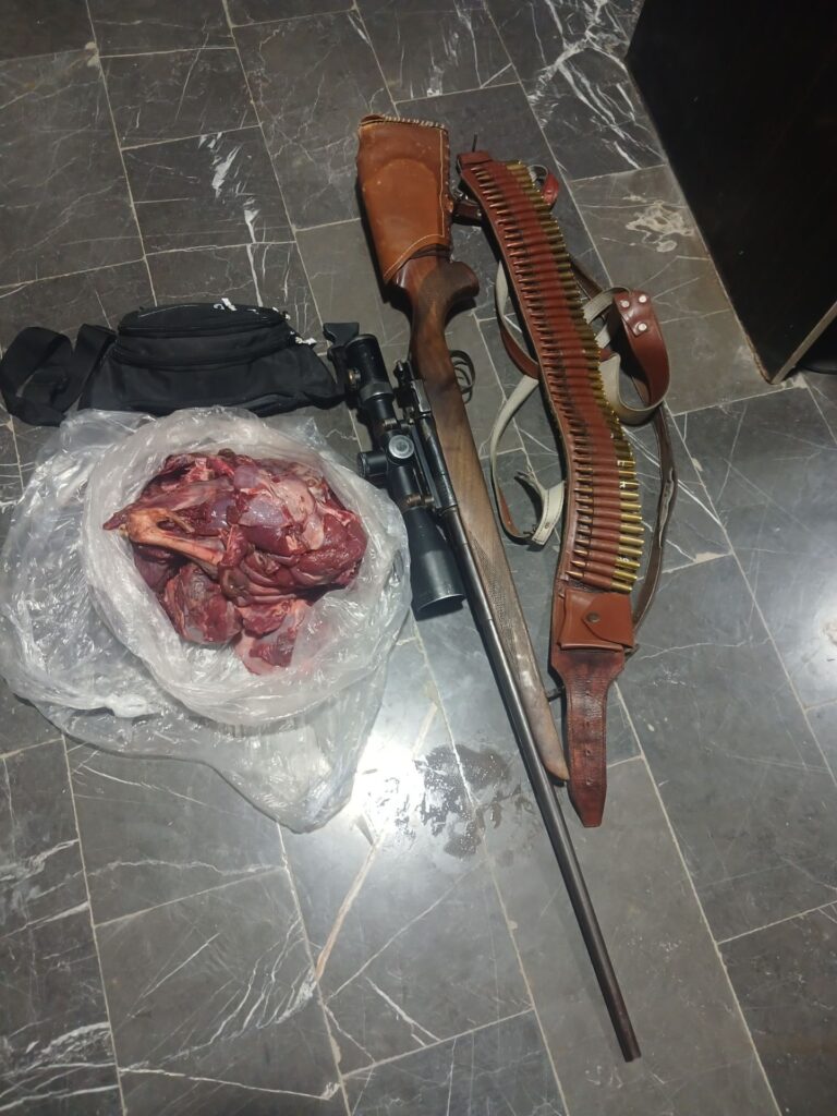 کشف اسلحه گلوله‌زنی و لاشه میش وحشی در عملیات مشترک در میناب