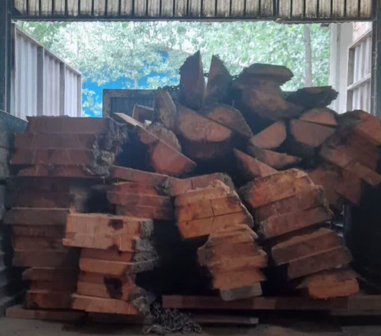 کشف ۱۰ تن چوب قاچاق در ورامین؛ ۳ متهم دستگیر شدند