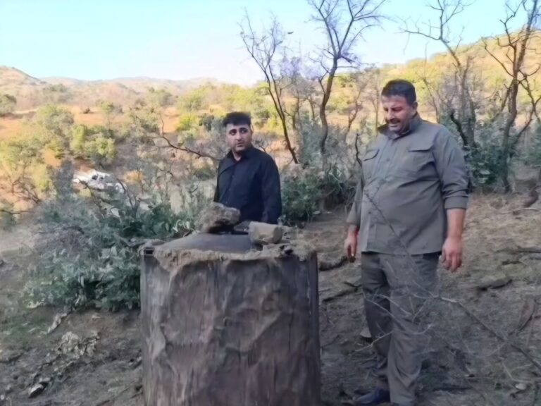 انهدام ۶ کوره زغال‌گیری غیرمجاز در جنگل‌های مریوان