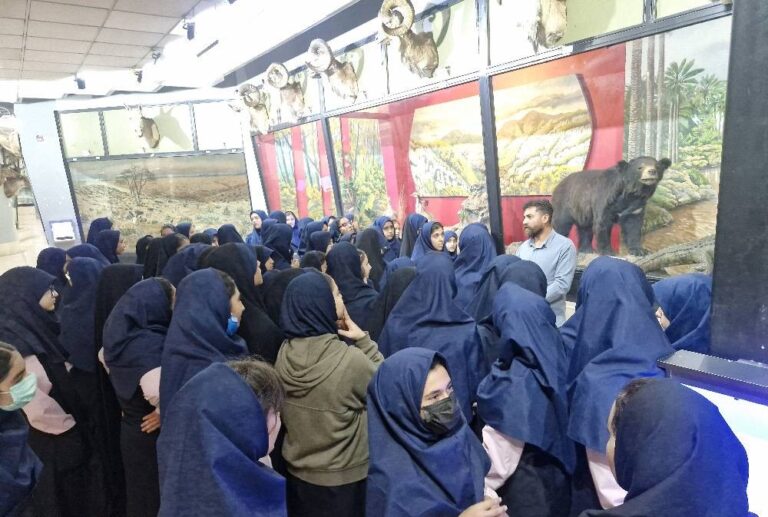 آموزش محیط‌زیستی ۸۳۰ دانش‌آموز در موزه تاریخ طبیعی سازمان محیط‌زیست