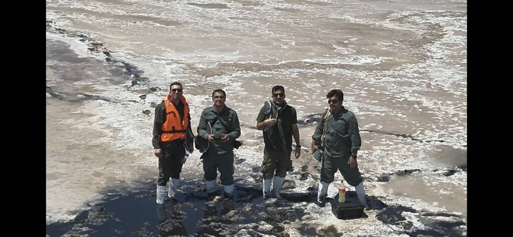 کاهش آمار پرندگان مهاجر در تالابهای خوزستان و ثبت ۳۵ هزار جوجه فلامینگو در شادگان