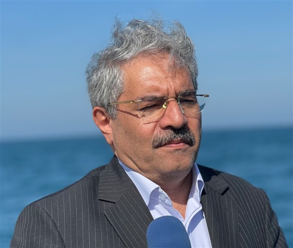 لاهیجان‌زاده: حفاظت از فوک خزری نیازمند تقویت همکاری‌های ملی و منطقه‌ای است