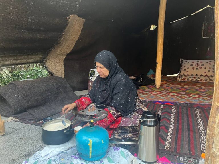 تلاشی برای جبران غفلت از تاریخ زنان 
