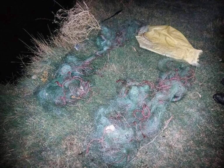جمع‌آوری بیش از ۲۰۰ متر تور صیادی غیرمجاز در تالاب نوروزلو