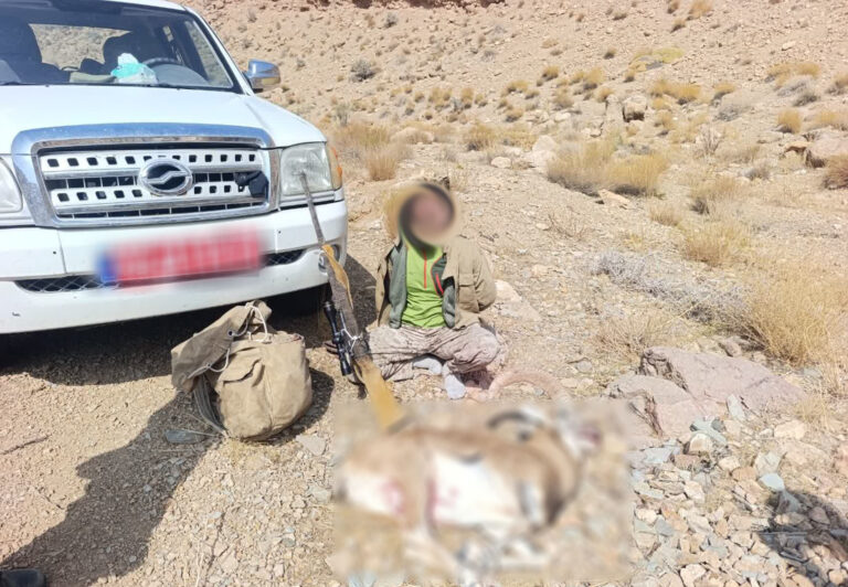 دستگیری شکارچی غیرمجاز قوچ وحشی در پارک ملی موته اصفهان