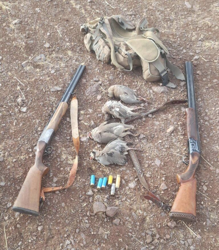 دستگیری متخلفان شکار پرندگان وحشی در شهرستان کنگاور