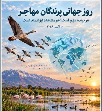 شعار «هر پرنده مهم است»