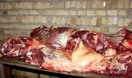 تکذیب صدور مجوز عرضه گوشت الاغ و اسب در بازار