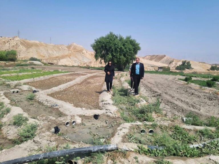 فاضلاب، «کمبل» گچساران را آلوده می‌کند