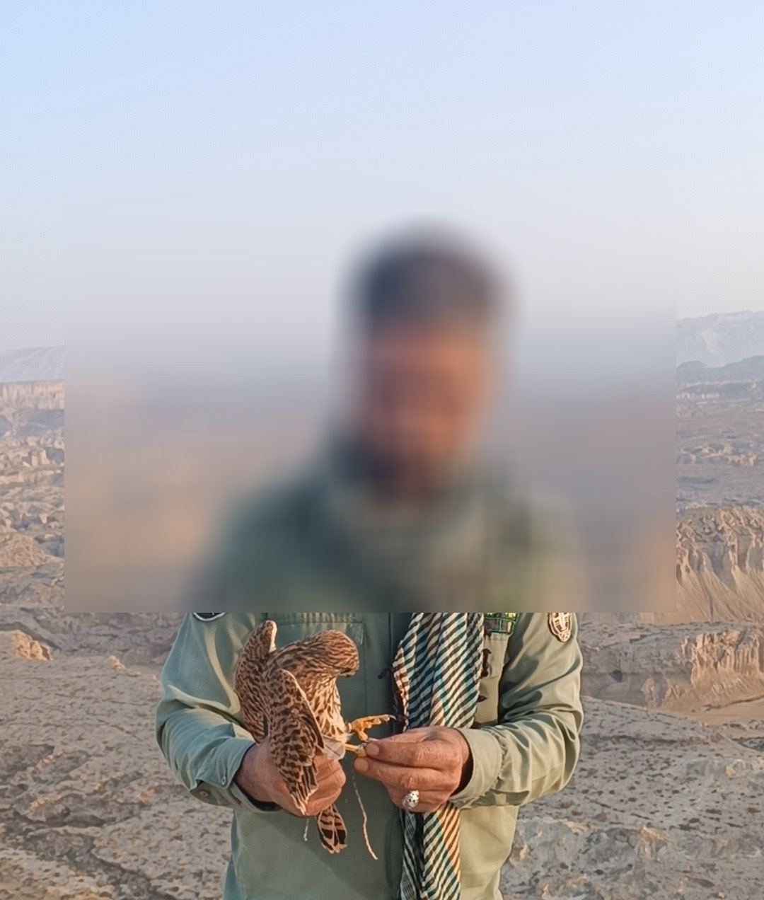 تخریب ۲۰ کوخه و کشف ۱۰ بهله دلیجه در غرب استان هرمزگان