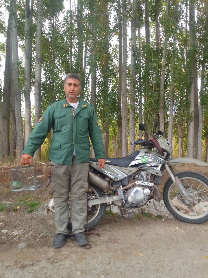 دستگیری عاملان زنده‌گیری غیرمجاز پرندگان وحشی در سراب