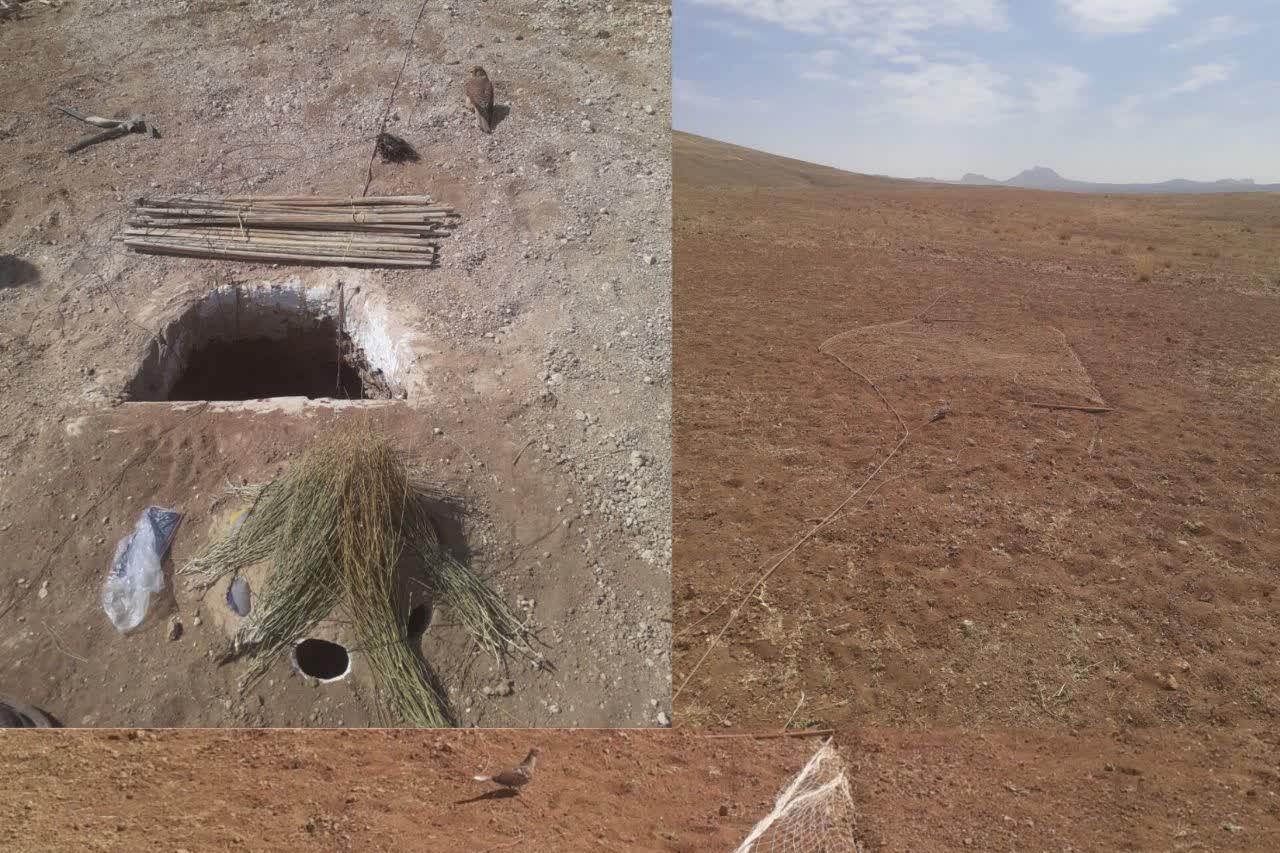 دستگیری متخلف زنده‌گیری پرندگان شکاری در چادگان